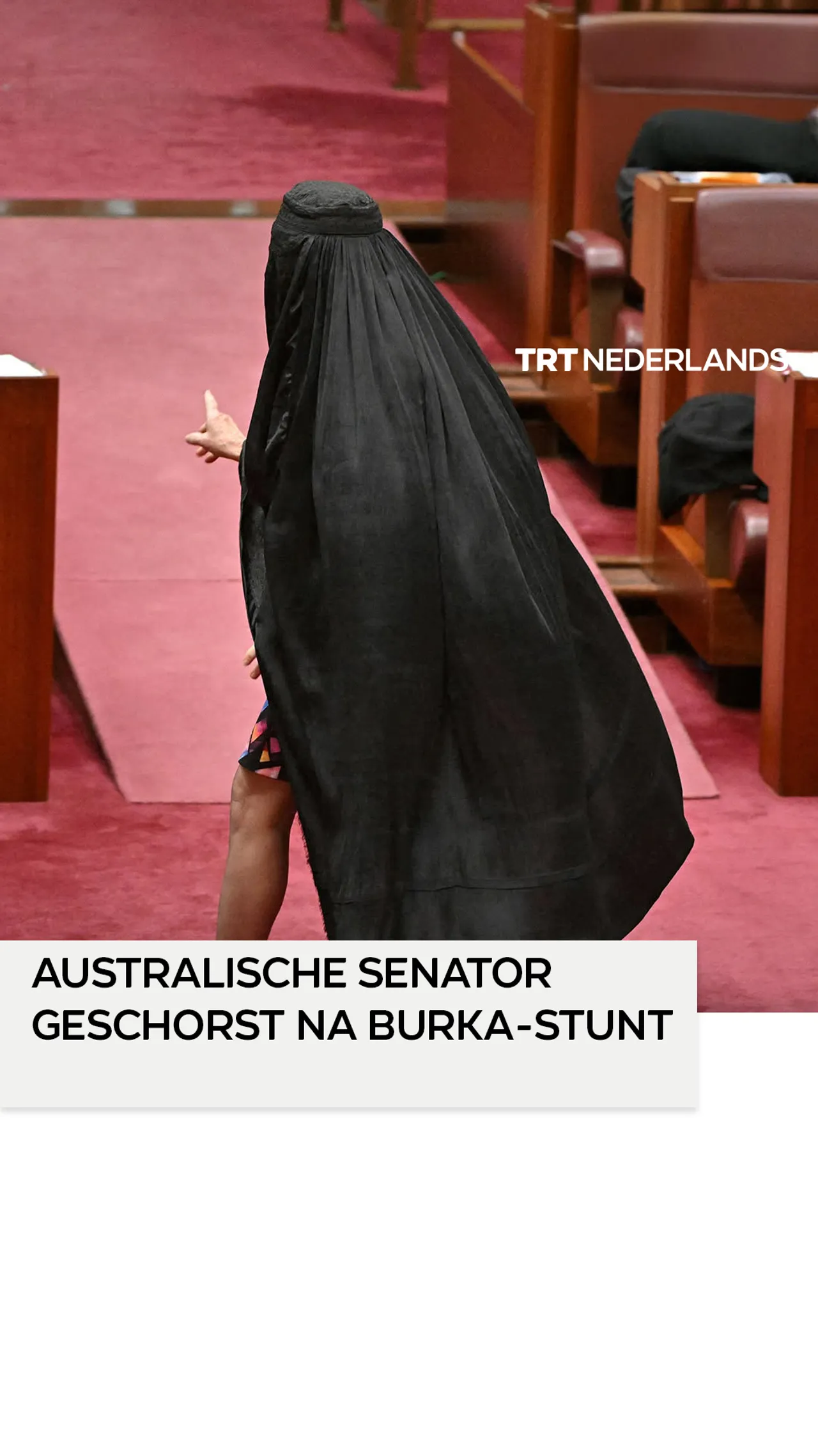 Extreemrechtse Australische senator uit Senaat gezet na burka-stunt in parlement