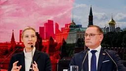 Was die Russland-Reisen über die AfD und Deutschlands Außenpolitik verraten
