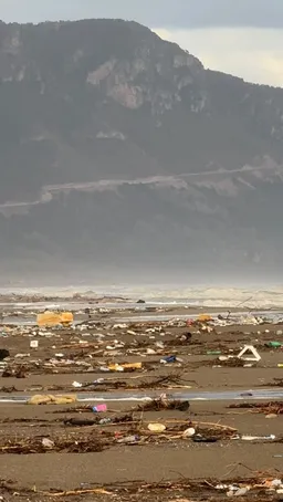 Shqipëri, plazhi i Velipojës “i mbytur” në tonelata mbeturinash