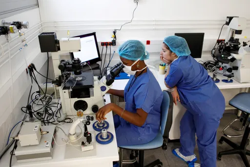 Kamermeerderheid voor kweken embryo's komt dichterbij; CDA speelt sleutelrol