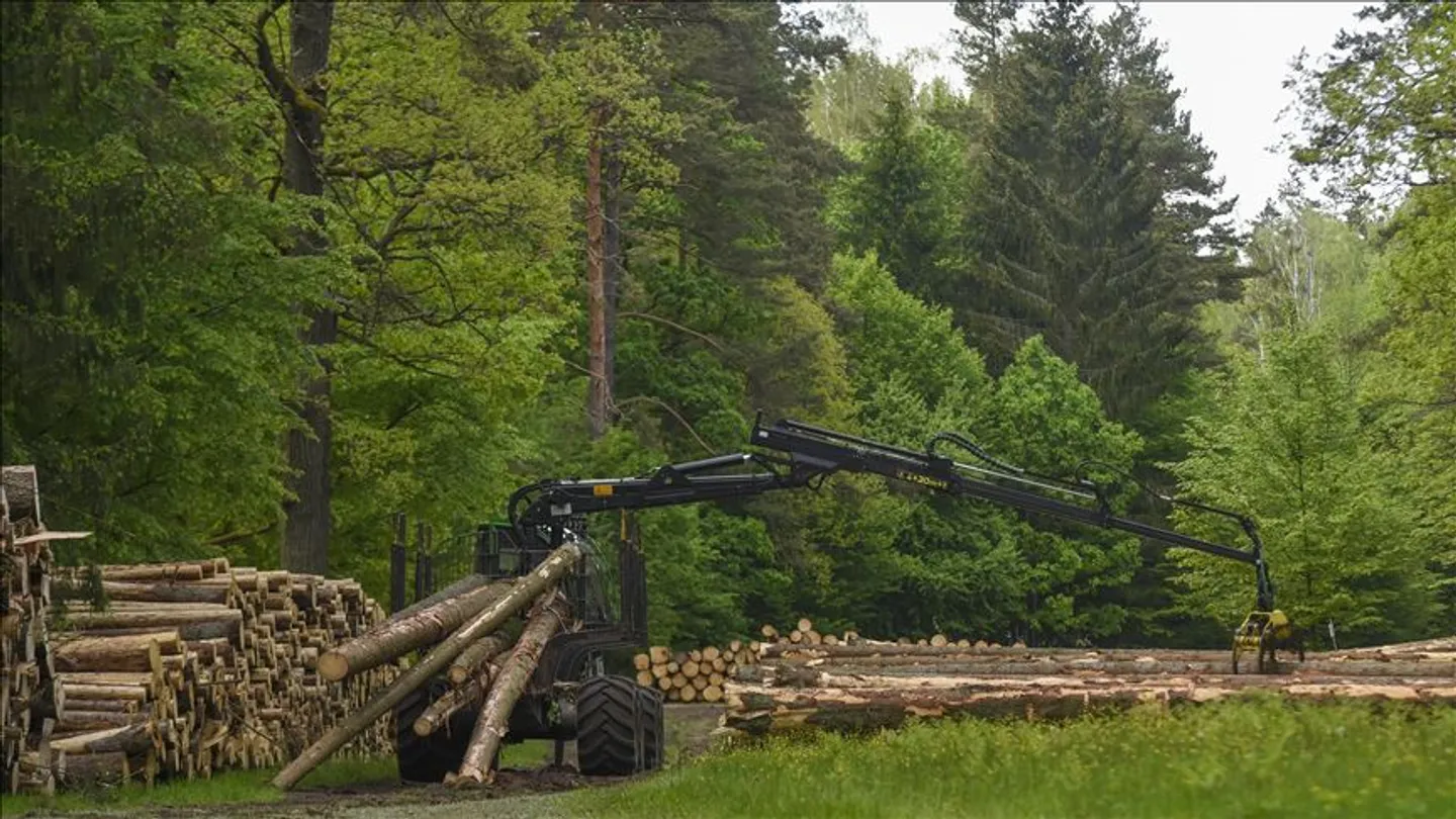 Studim: Pyjet e Afrikës tani janë burim karboni neto