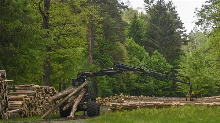 Studim: Pyjet e Afrikës tani janë burim karboni neto