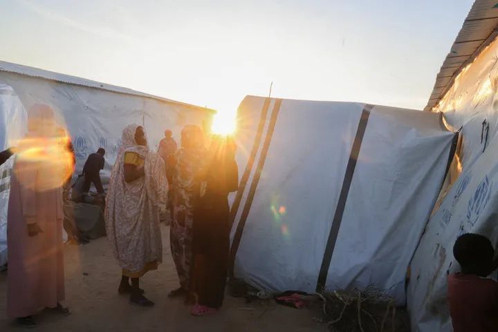 RSF kills Sudan state news agency director in Al Fasher, detains multiple journalists