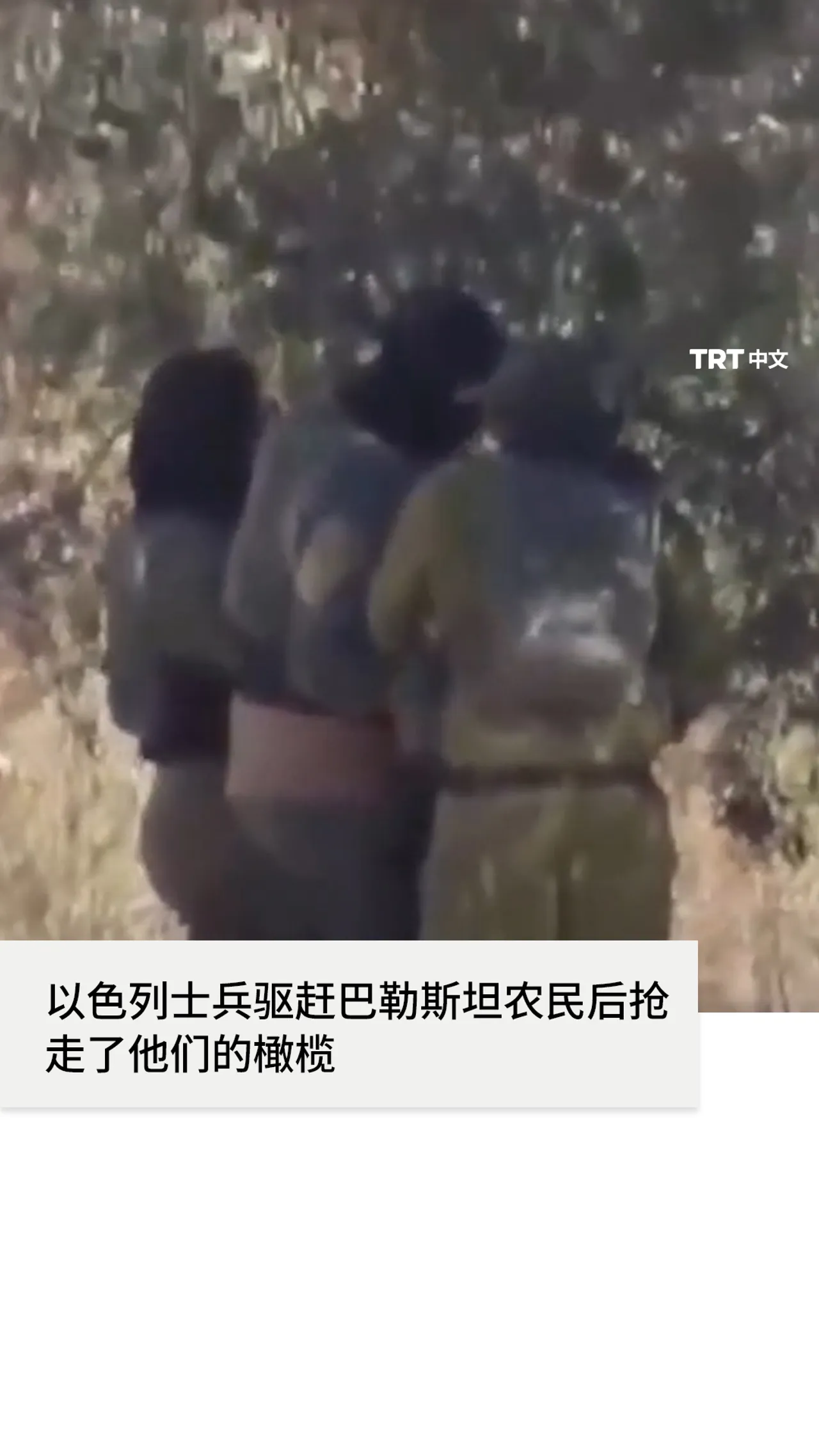 以色列士兵驱赶巴勒斯坦农民后抢走了他们的橄榄