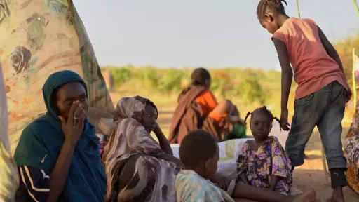 Hunger monitor confirms famine in Darfur's Al Fasher and one other city