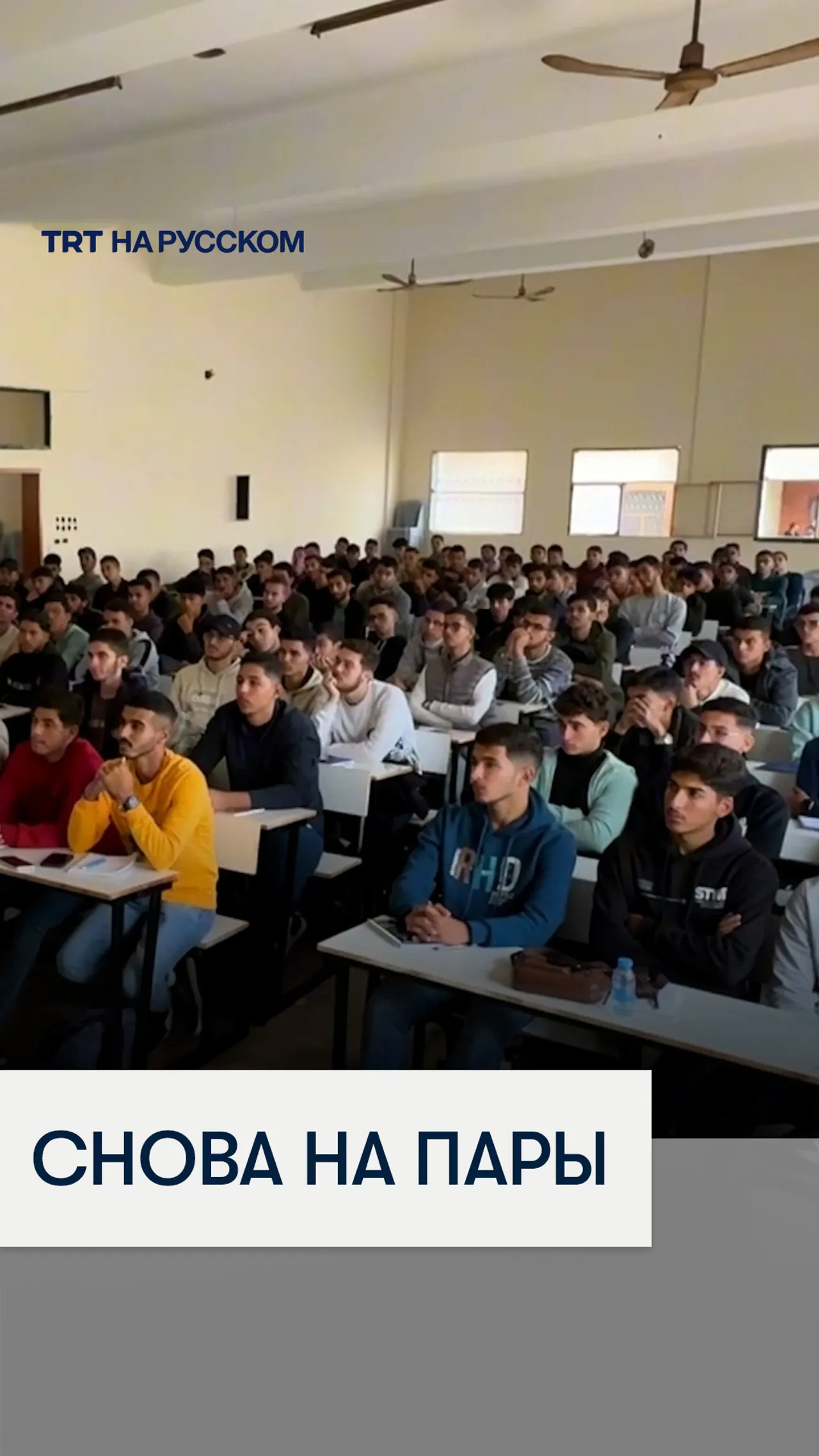 Палестинские студенты снова вернулись в университетские аудитории
