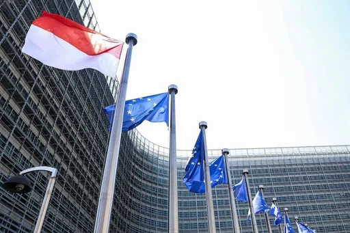 Visa Schengen untuk WNI kini multi entry berlaku 5 tahun, ini syarat dan aturannya