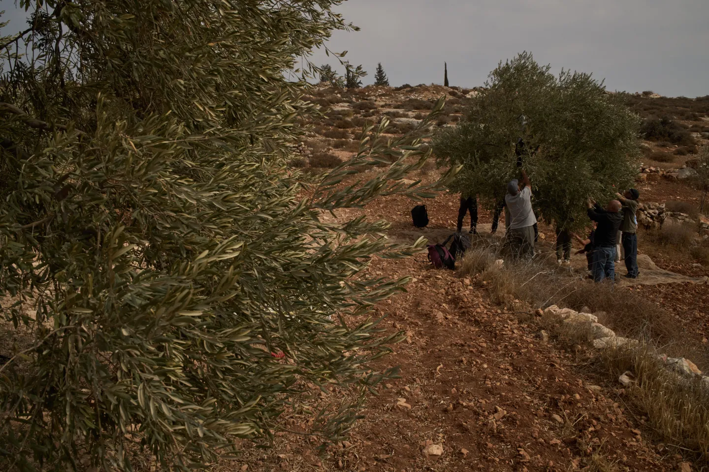 Un journaliste français détenu pendant cinq jours par Israël