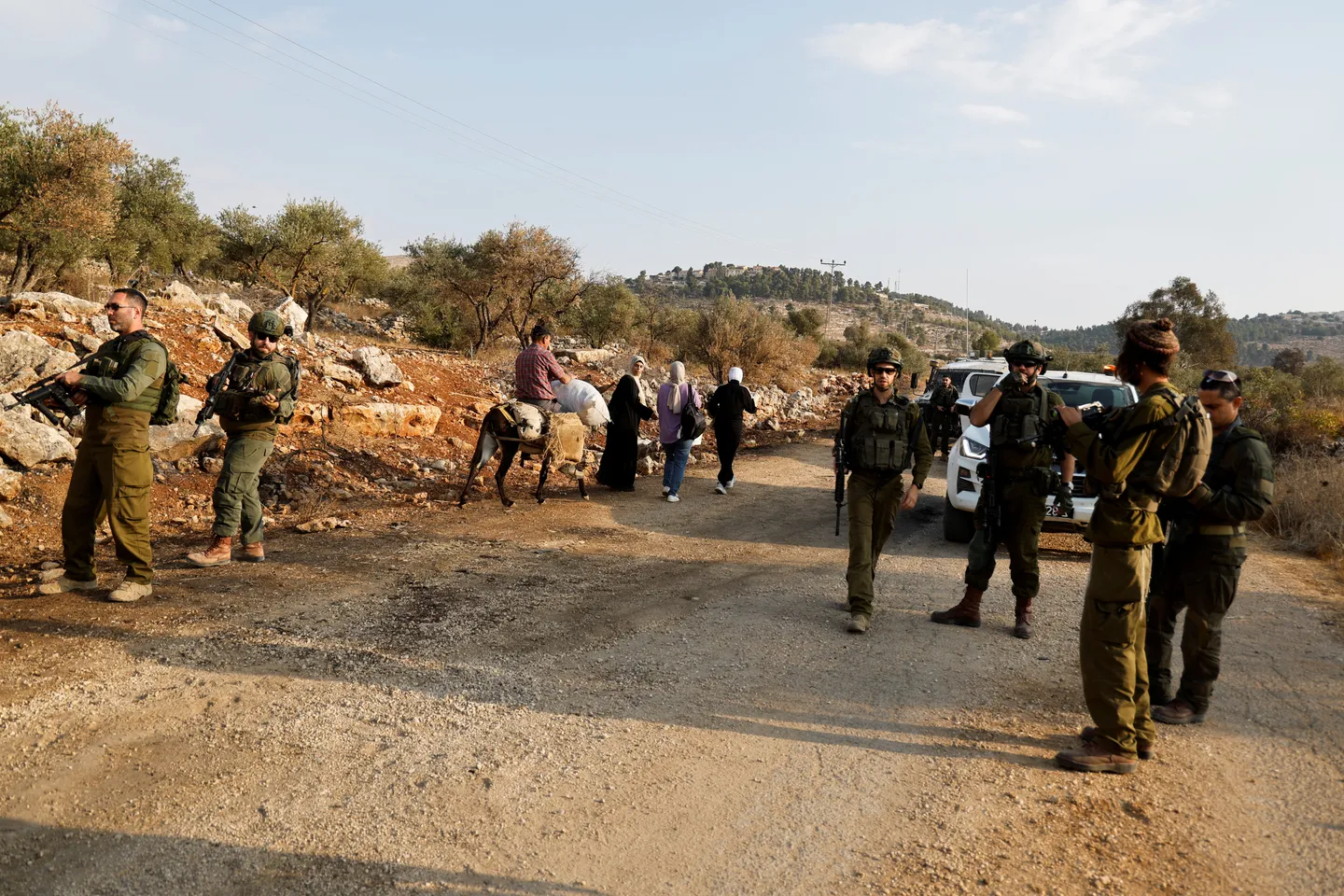 Coloniștii israelieni ilegali fură recoltele de măsline și distrug copacii în sudul Hebronului