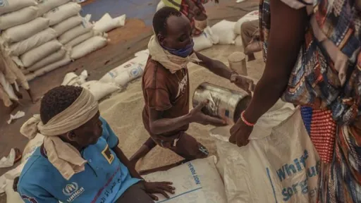 South Sudan to face serious hunger crisis in 2026, UN report shows