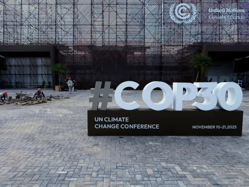 Emissões, milhões e árvores: O que está na agenda da COP30?