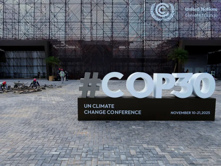 Emissões, milhões e árvores: O que está na agenda da COP30?