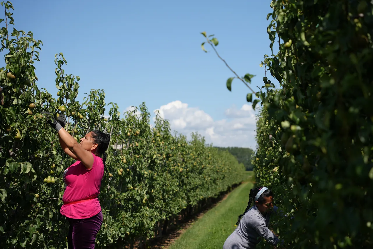 Vrouwen van buiten de EU botsen op hardnekkige barrières op Belgische arbeidsmarkt