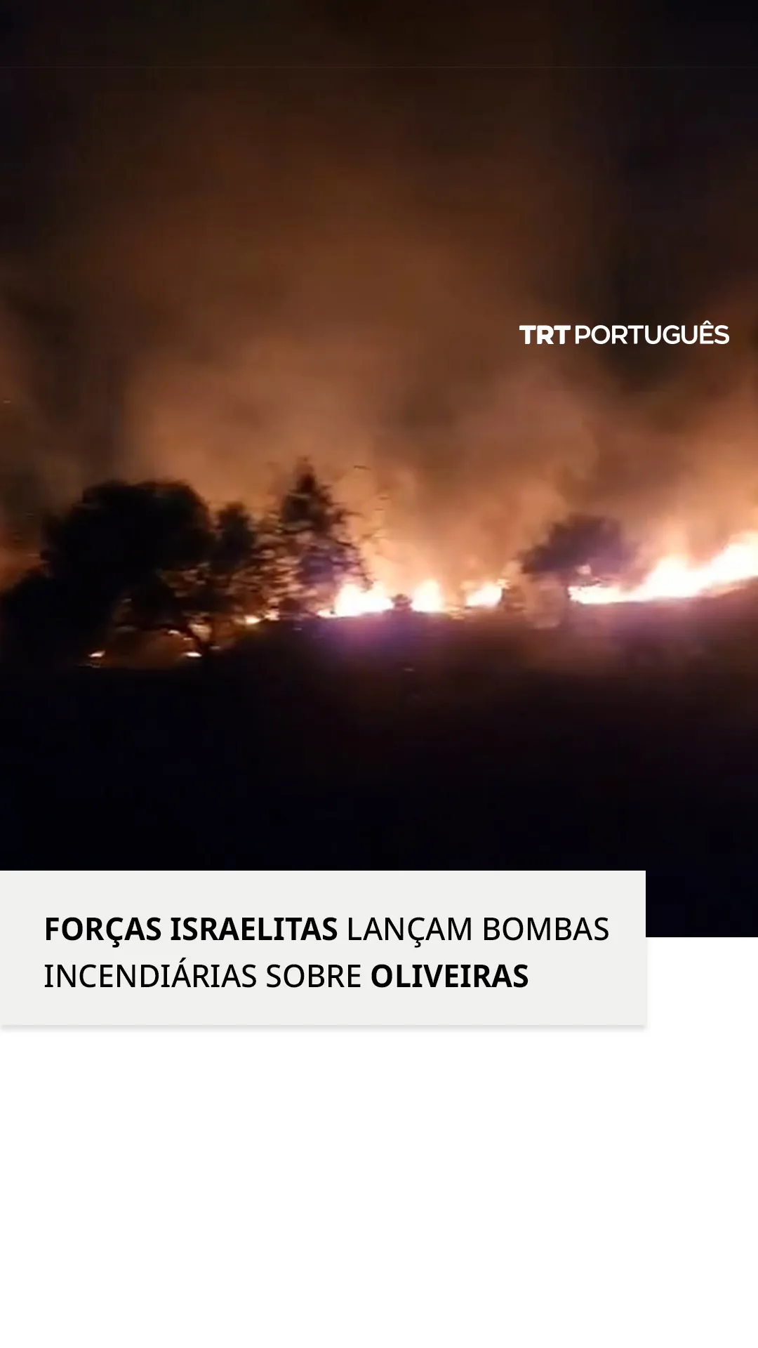 Incêndio consome olivais em Jenin após forças israelitas lançarem bombas incendiárias