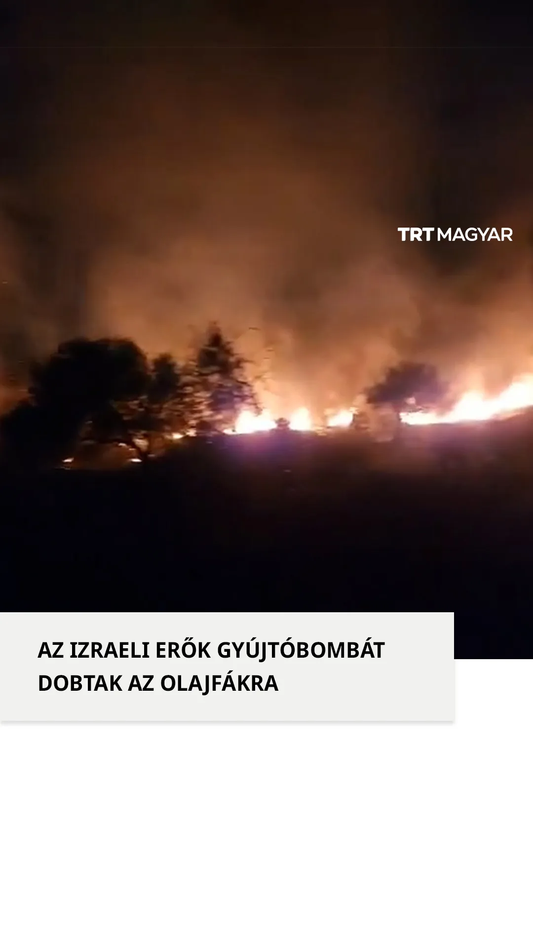 Az izraeli erők gyújtóbombát dobtak az olajfákra Jeninben, amely hatalmas tüzet okozott
