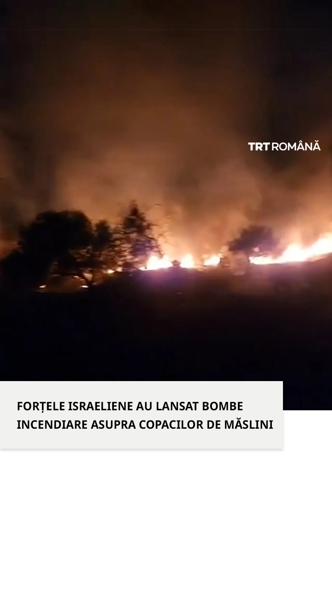 Un incendiu masiv a cuprins livezile de măslini din Jenin după ce forțele israeliene au lansat bombe