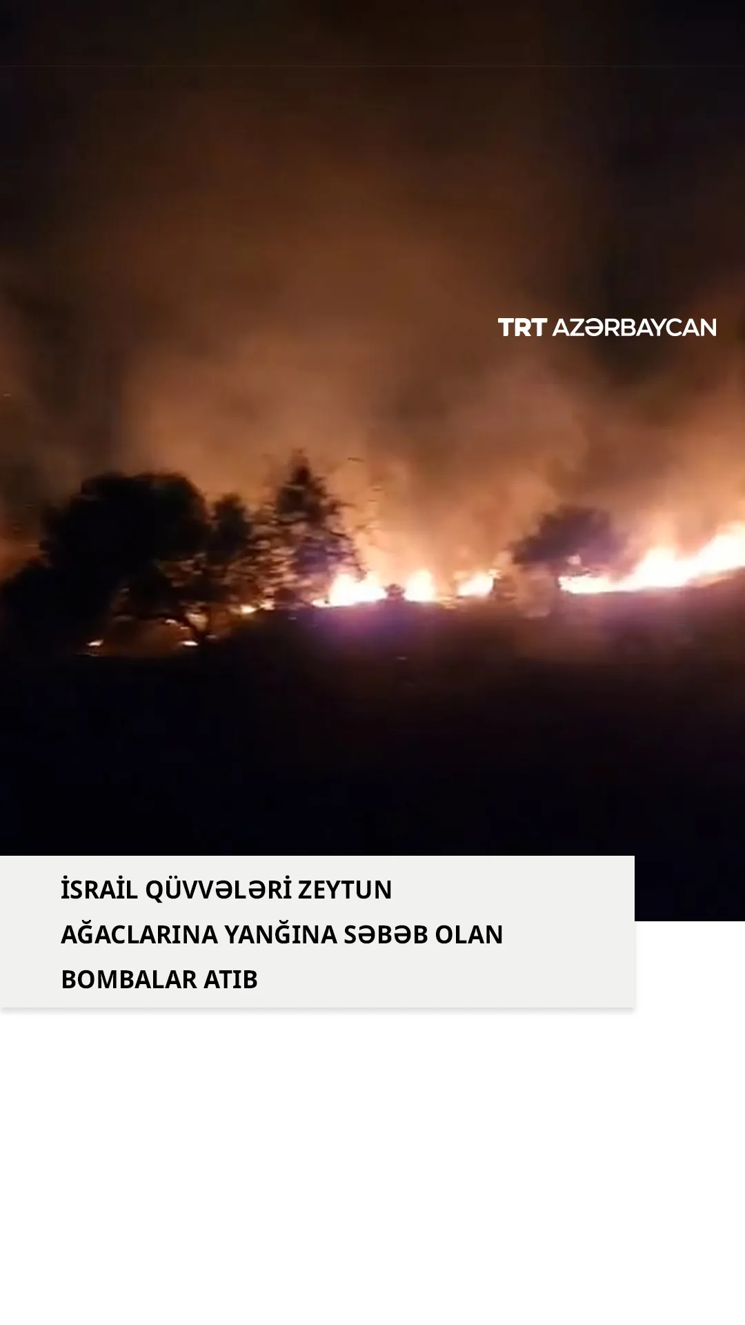 İsrail qüvvələrinin hücumu nəticəsində başlayan yanğın Cenin şəhərindəki zeytun bağlarını əhatə etdi