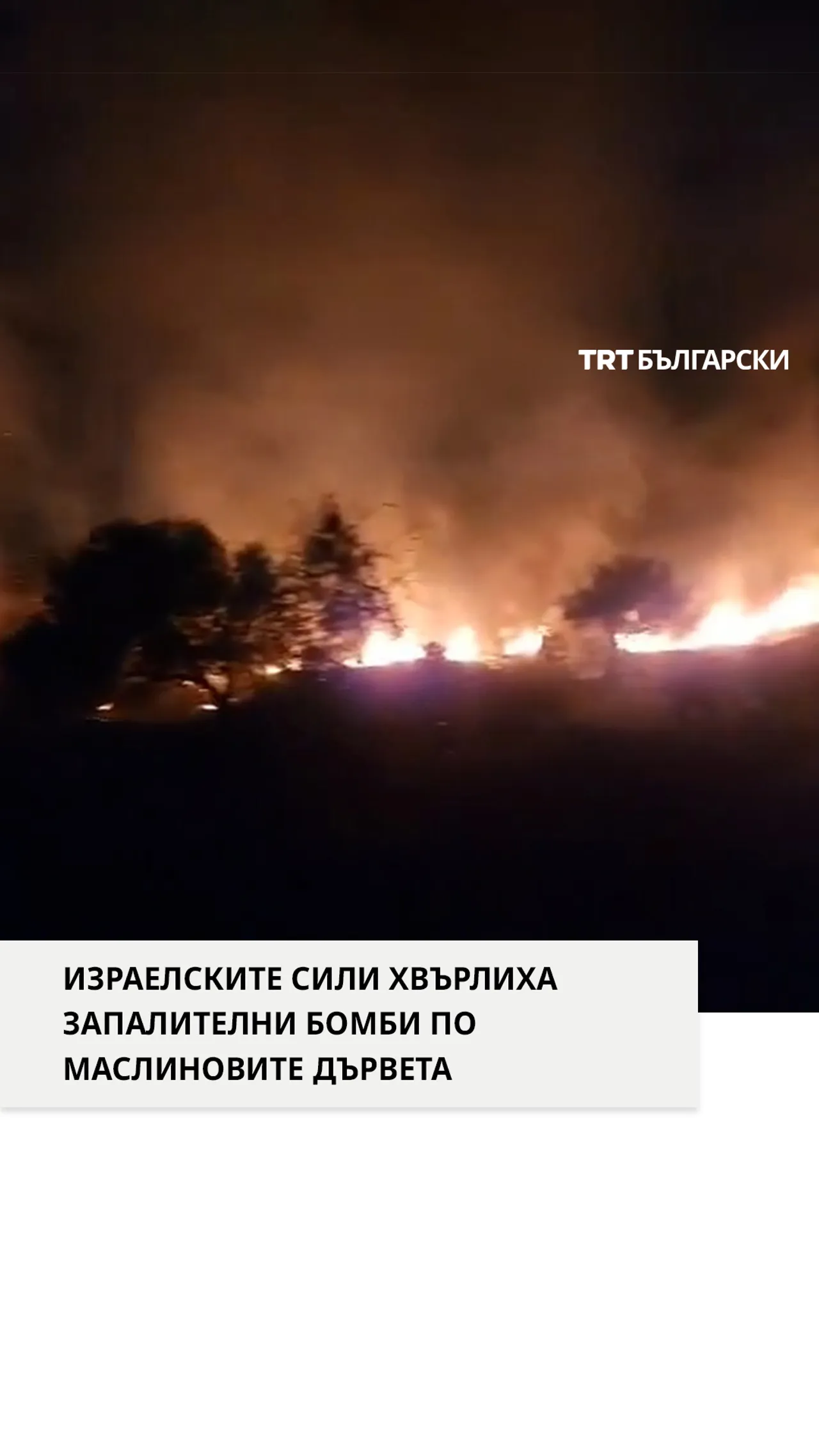 ИЗРАЕЛСКИТЕ СИЛИ ХВЪРЛИХА ЗАПАЛИТЕЛНИ БОМБИ ПО МАСЛИНОВИТЕ ДЪРВЕТА