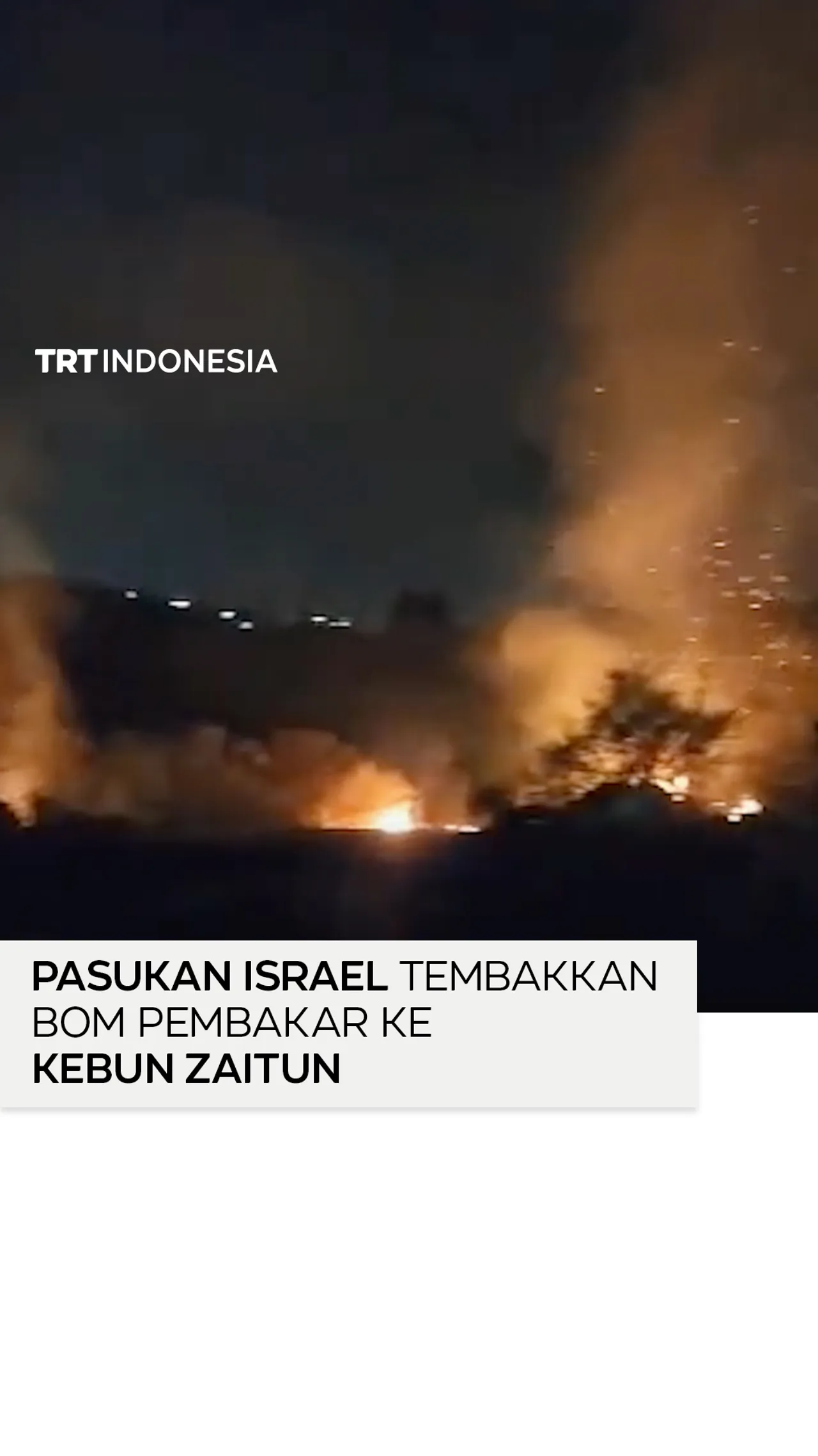 Pasukan Israel tembakkan bom pembakar ke kebun Zaitun di Jenin