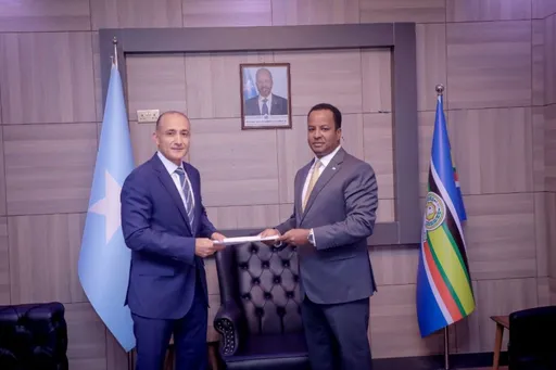 Wasiirka Arrimaha Dibadda Soomaaliya oo waraaqaha aqoonsiga ka guddoomay safiirka cusub ee Masar