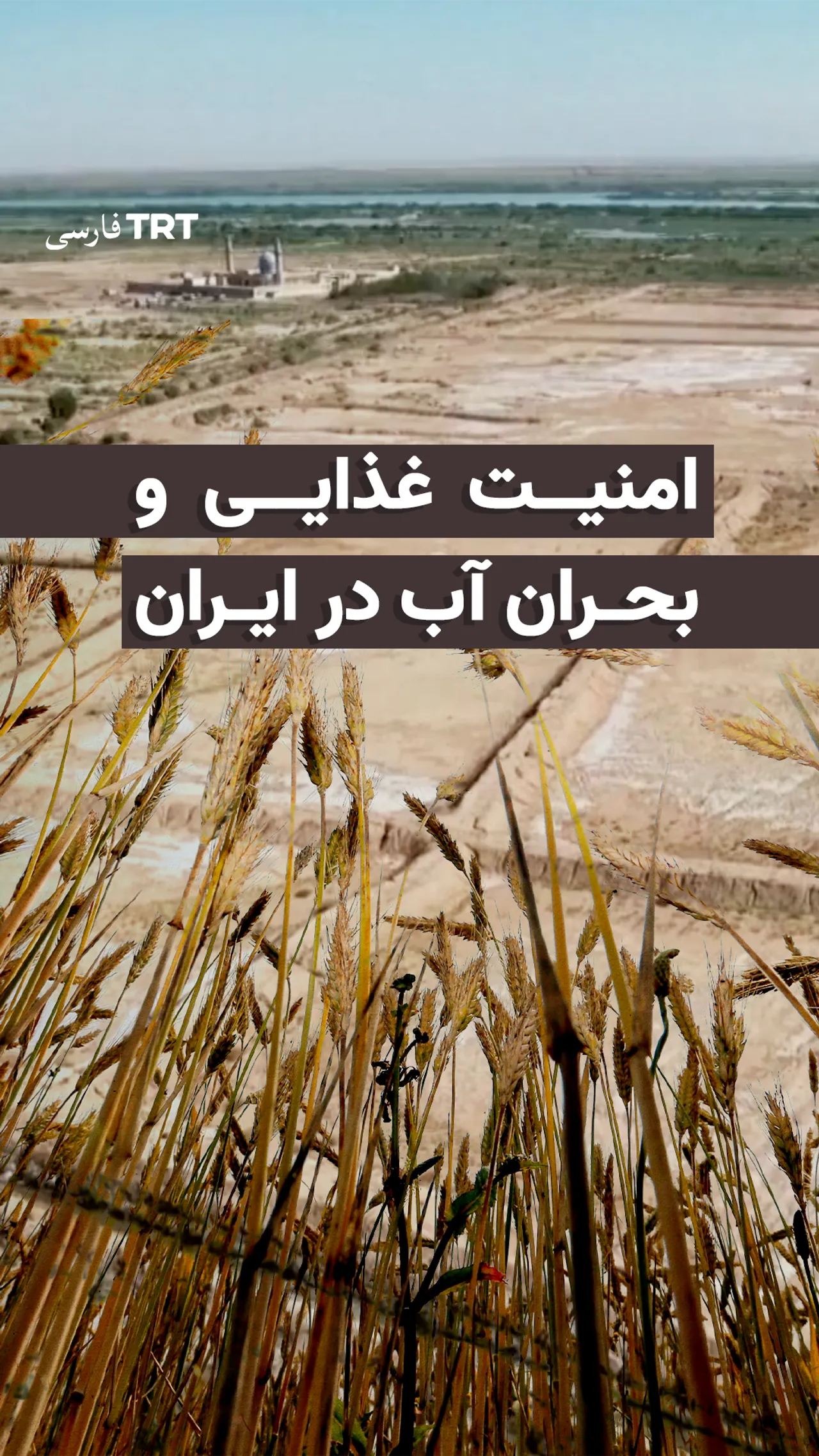 امنیت غذایی و بحران آب در ایران