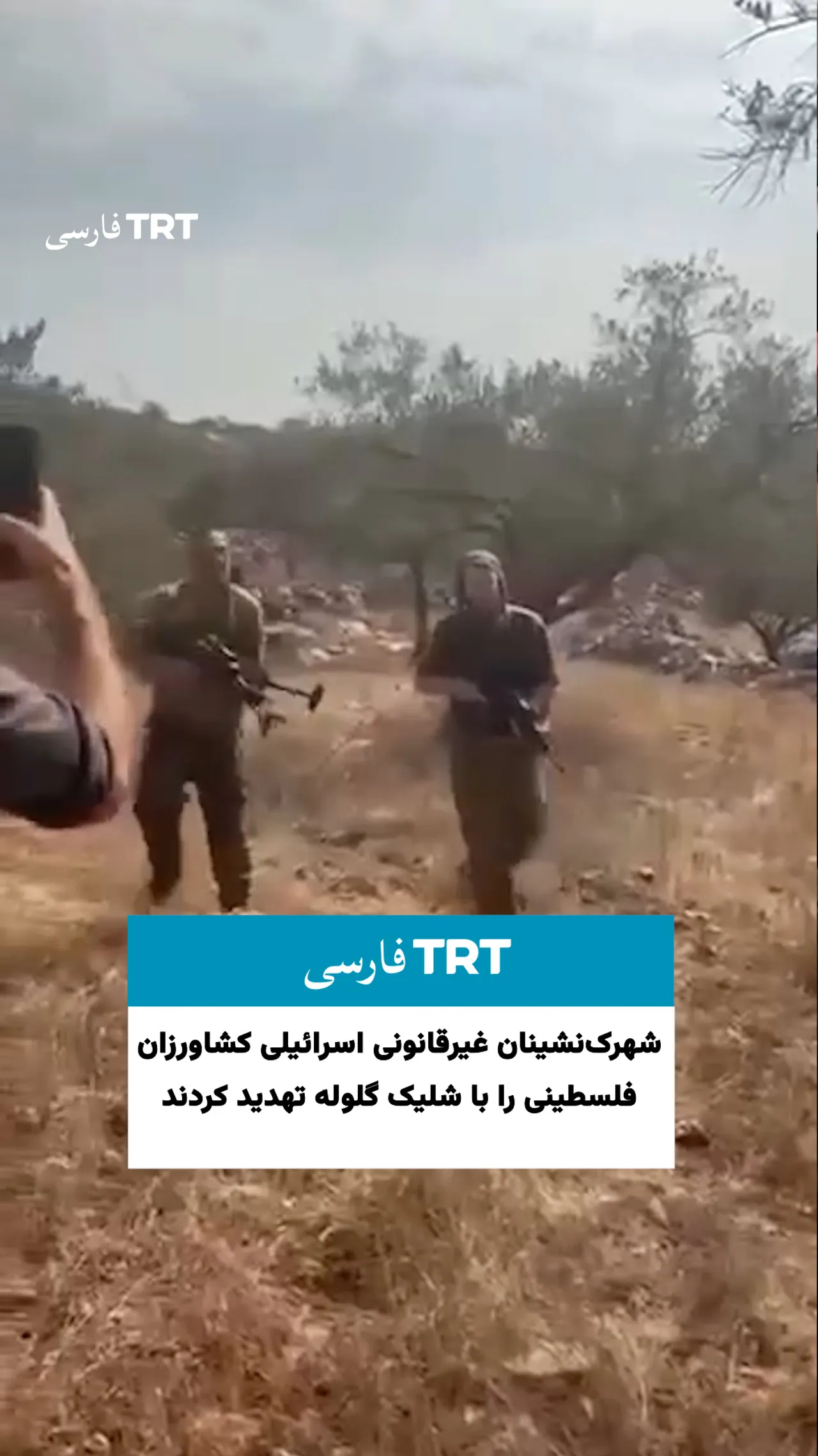 شهرکنشینان غیرقانونی اسرائیلی کشاورزان فلسطینی را با شلیک گلوله تهدید کردند