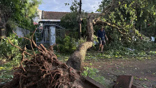 На Вьетнам обрушился тайфун «Калмаэги»