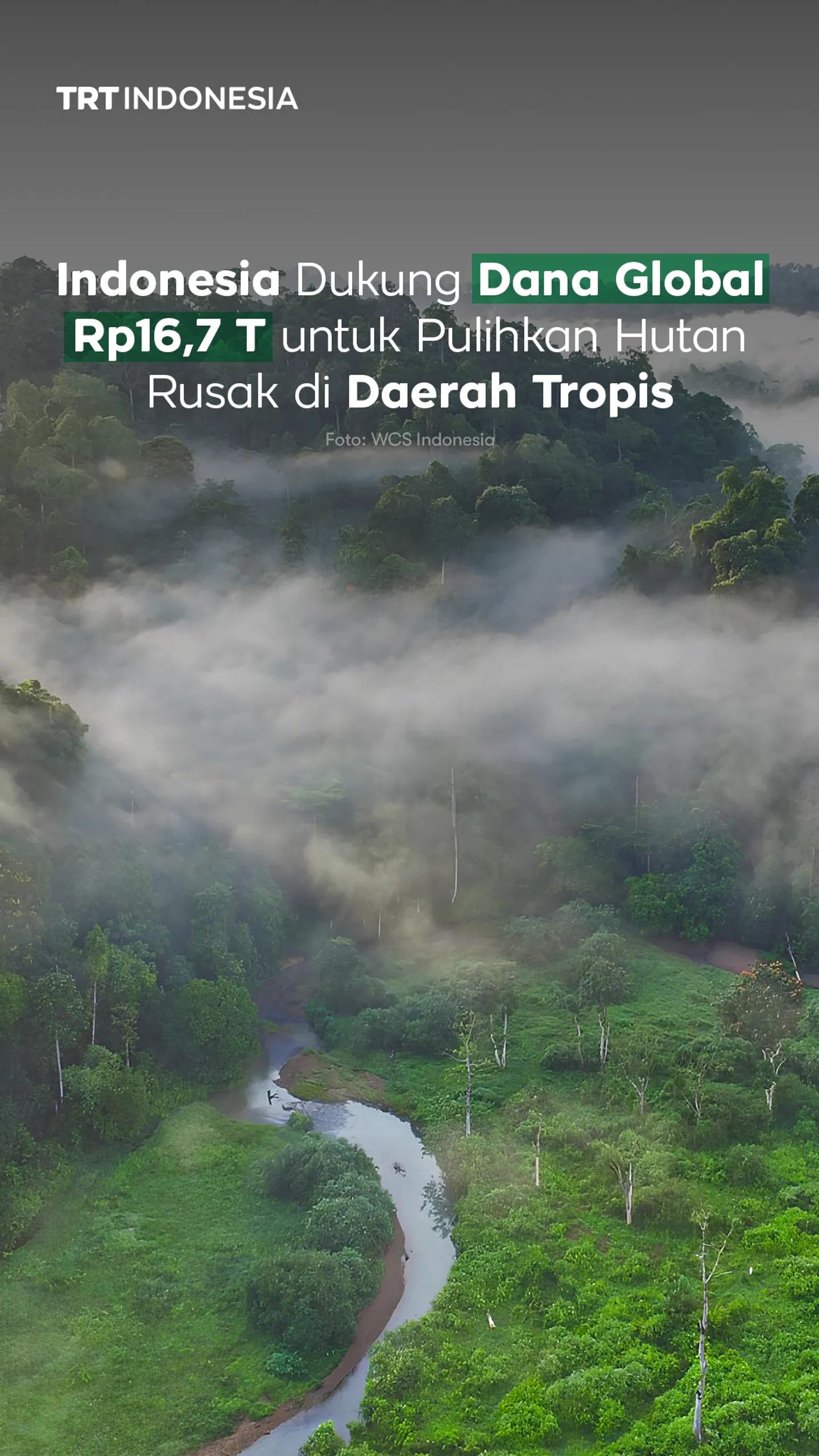 Indonesia dukung dana global Rp16,7 T untuk pemulihan hutan tropis dunia