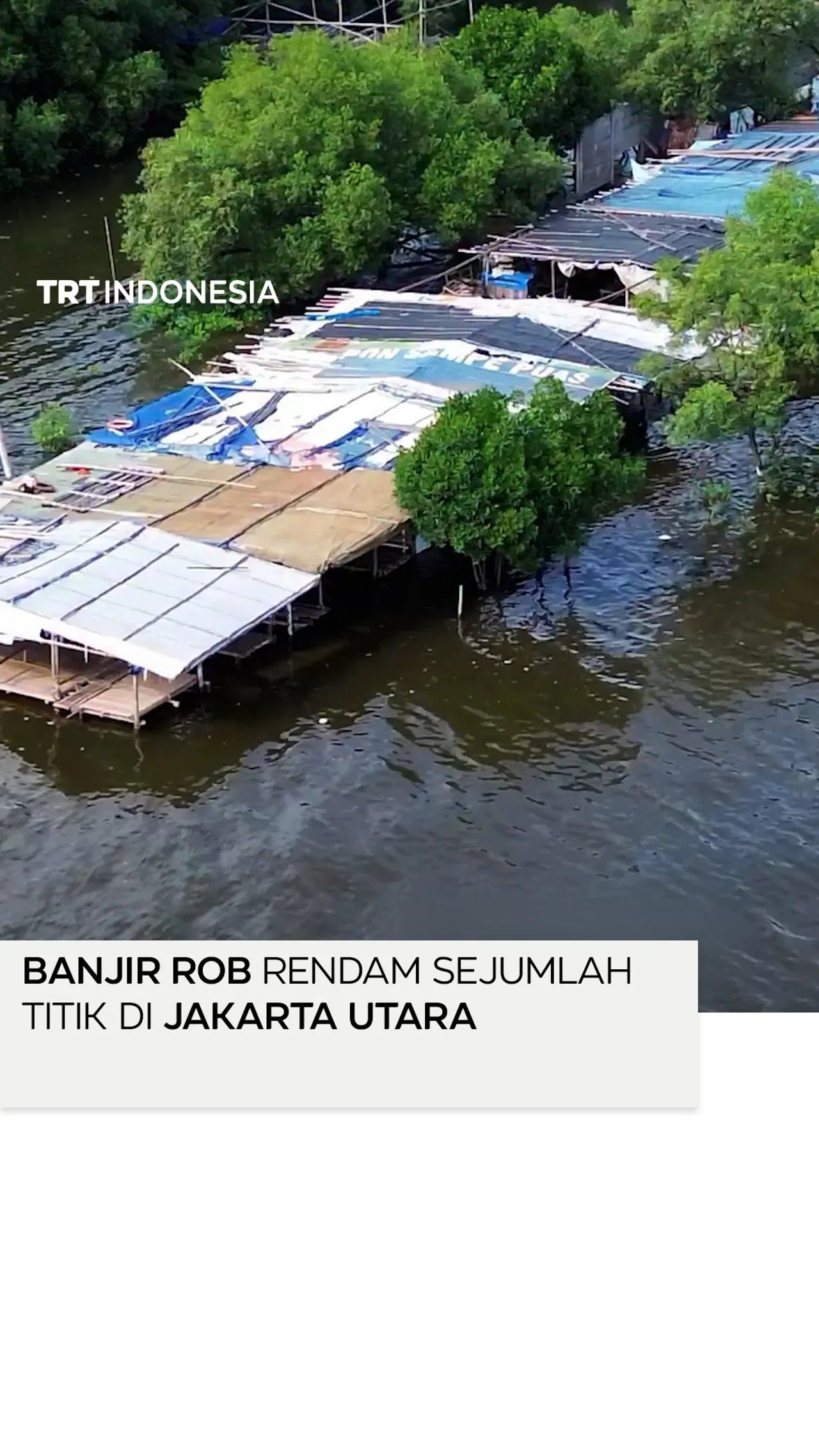Banjir rob setinggi 25 cm rendam sejumlah titik di Jakarta Utara