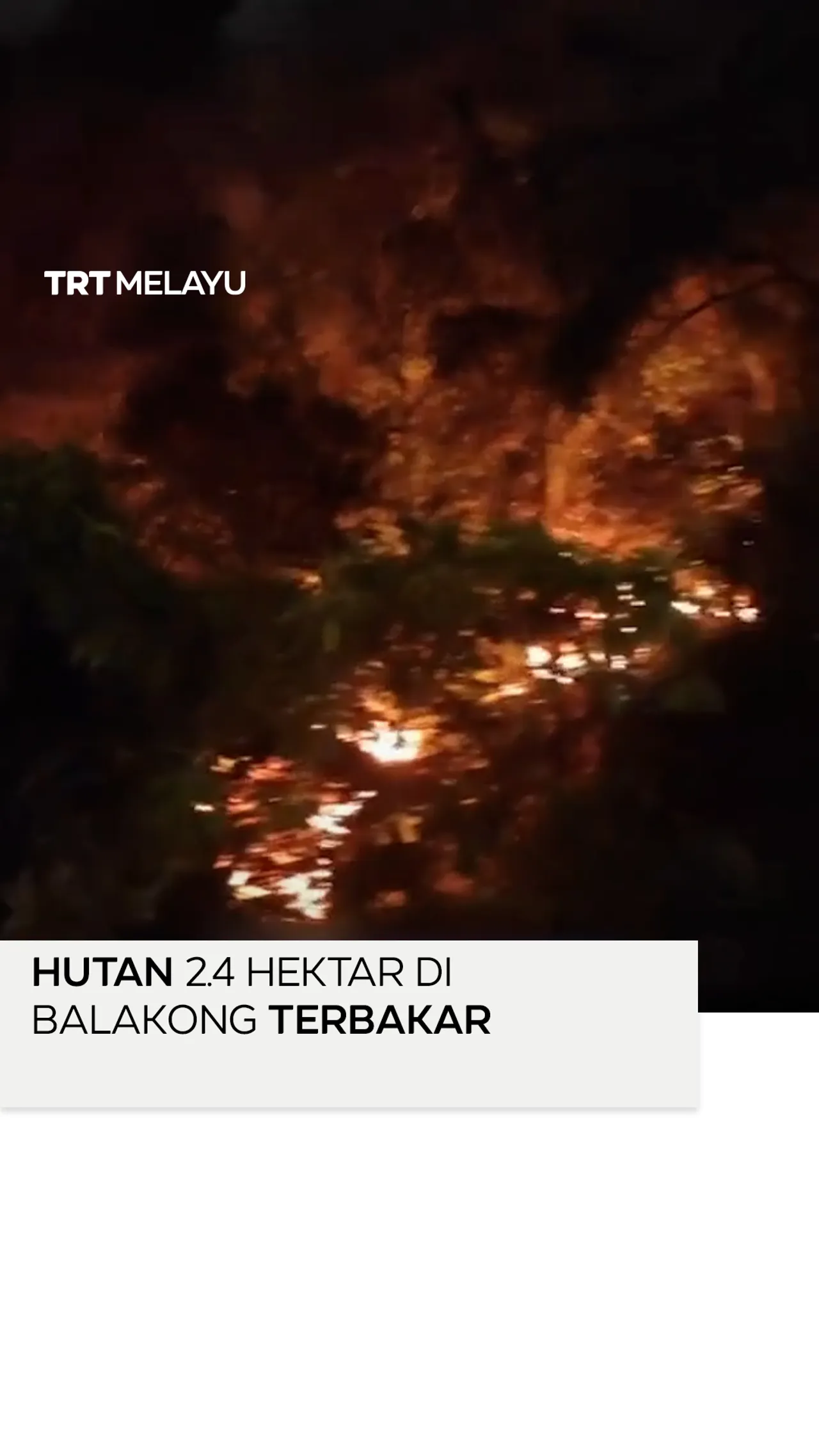 Hutan 2.4 hektar di Balakong terbakar