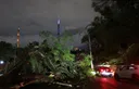 Tornado sweeps through Brazil, killing at least five