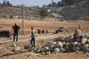 Multiple Palestinian casualties as illegal Israeli settler attacks escalate in occupied West Bank