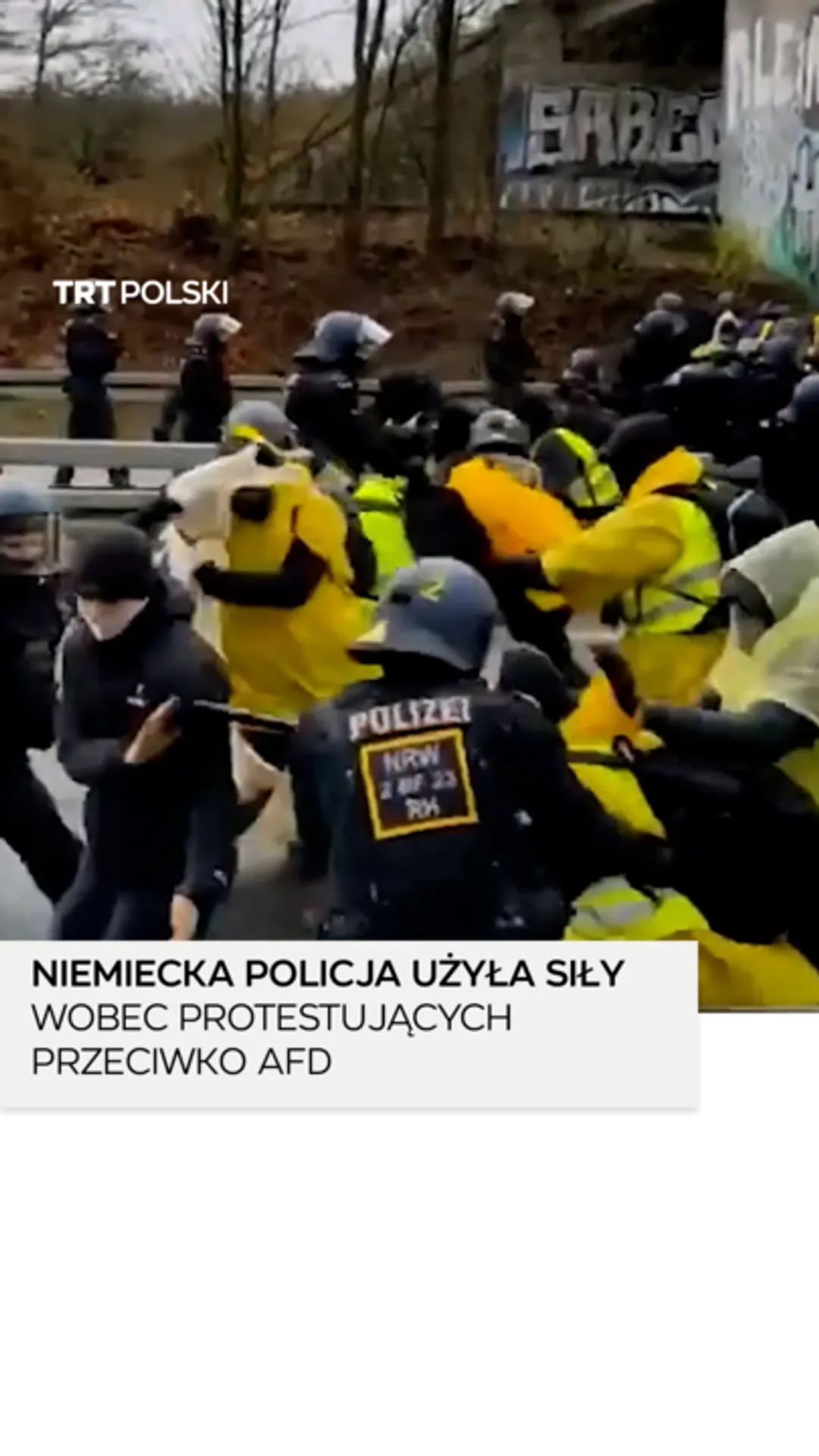 Niemiecka policja użyła siły i armatek wodnych wobec protestujących przeciwko AfD