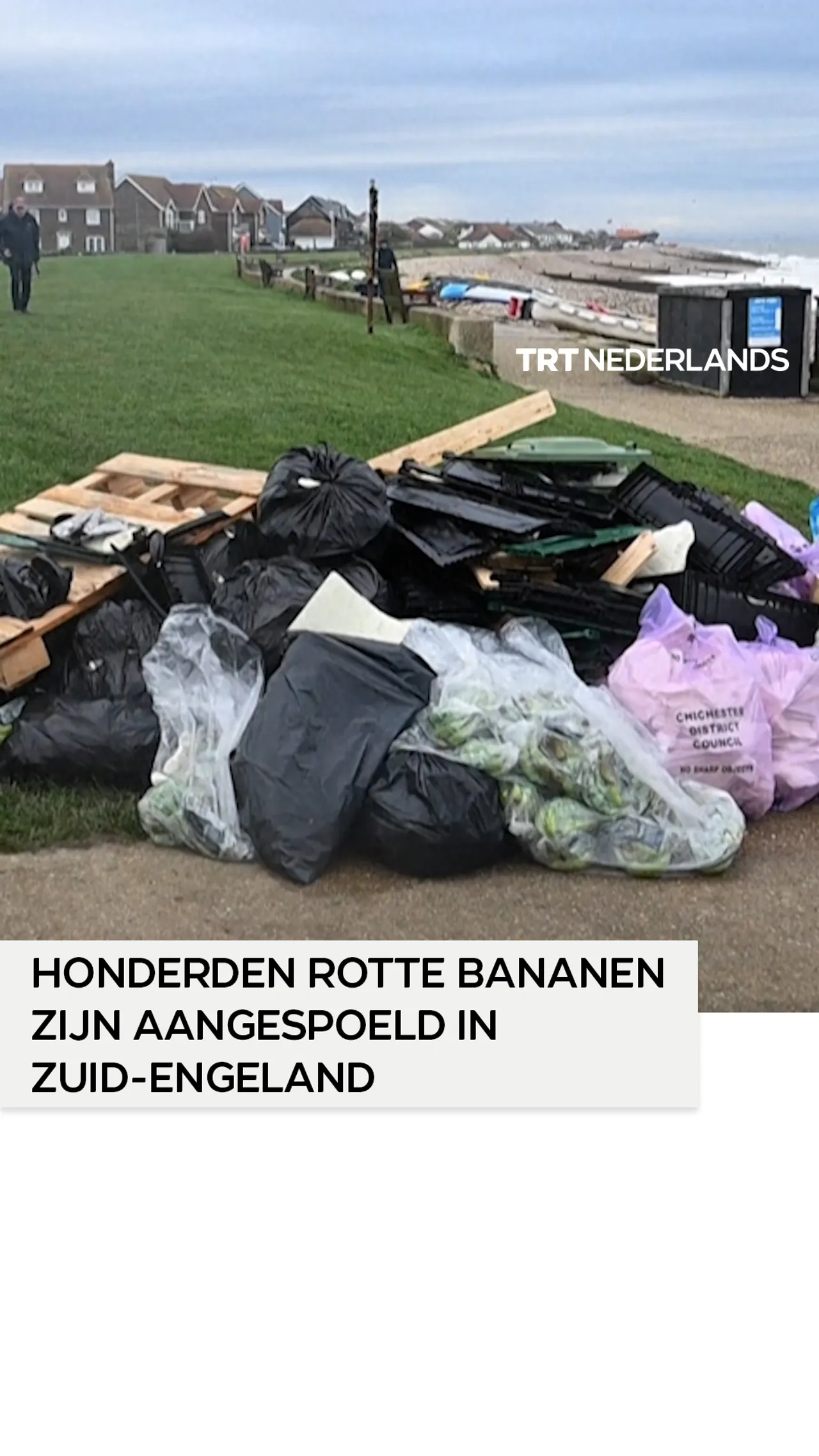Honderden rotte bananen zijn aangespoeld in Zuid-Engeland
