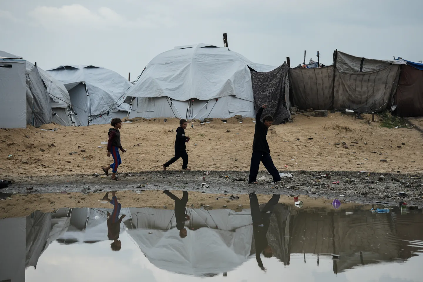 3 شهداء جراء خروقات الاحتلال في غزة.. ومناشدة فلسطينية لتوفير مستلزمات الإيواء للنازحين