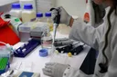 Francuska potvrdila prvi slučaj hantavirusa povezan s epidemijom na brodu MV Hondius