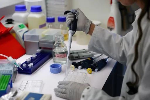 Francuska potvrdila prvi slučaj hantavirusa povezan s epidemijom na brodu MV Hondius