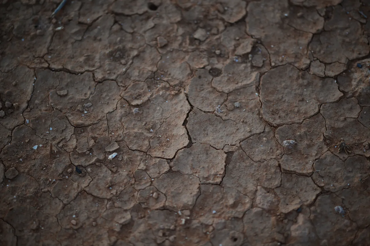 2025: Een jaar van extremen – Droogste jaar in bijna 50 jaar na natste jaar ooit