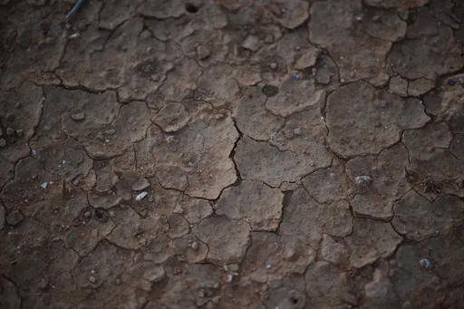 2025: Een jaar van extremen – Droogste jaar in bijna 50 jaar na natste jaar ooit