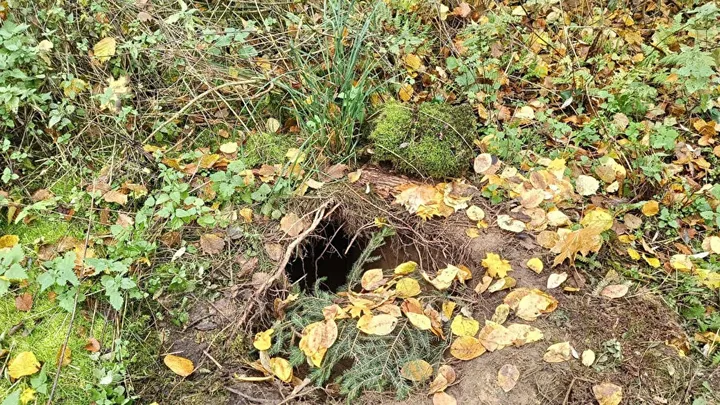 د بیلاروس نه پولنډ ته د مځکې لاندې کیندل شوی یو تونل کشف شو