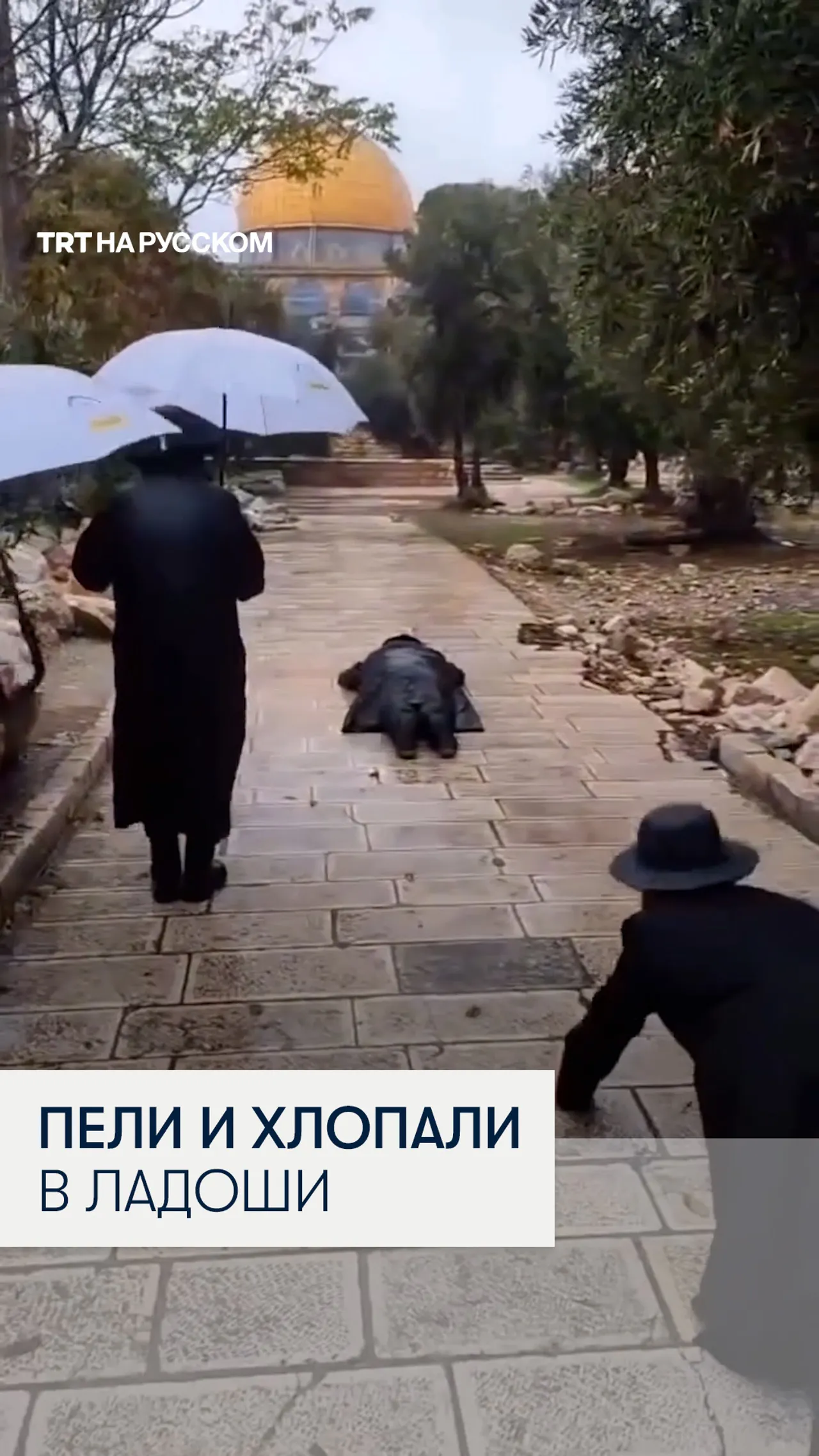 Израильские поселенцы ворвались в мечеть Аль-Акса и провели религиозные ритуалы