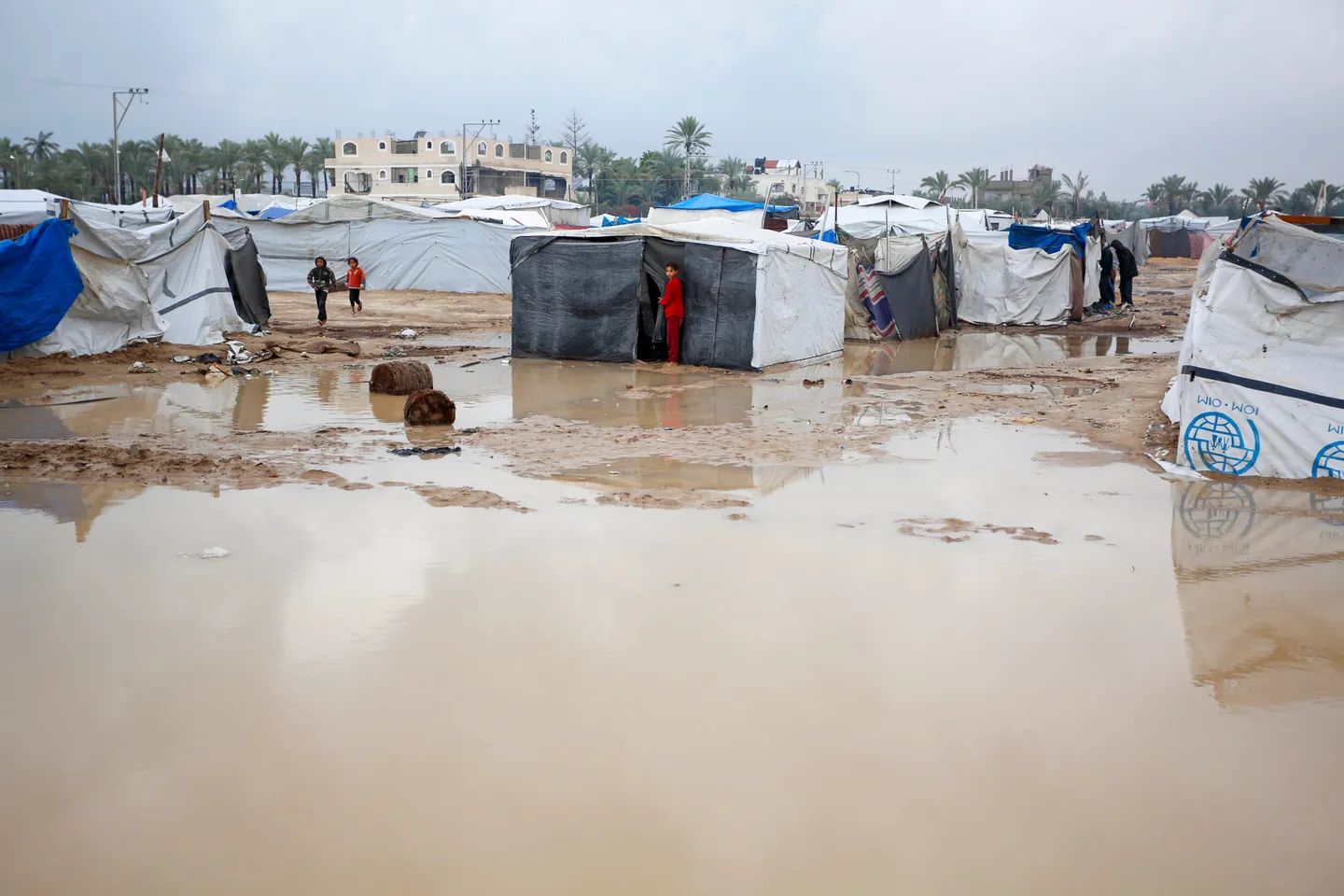 Heavy rains kill at least 10 in Gaza over past 24 hours: WHO