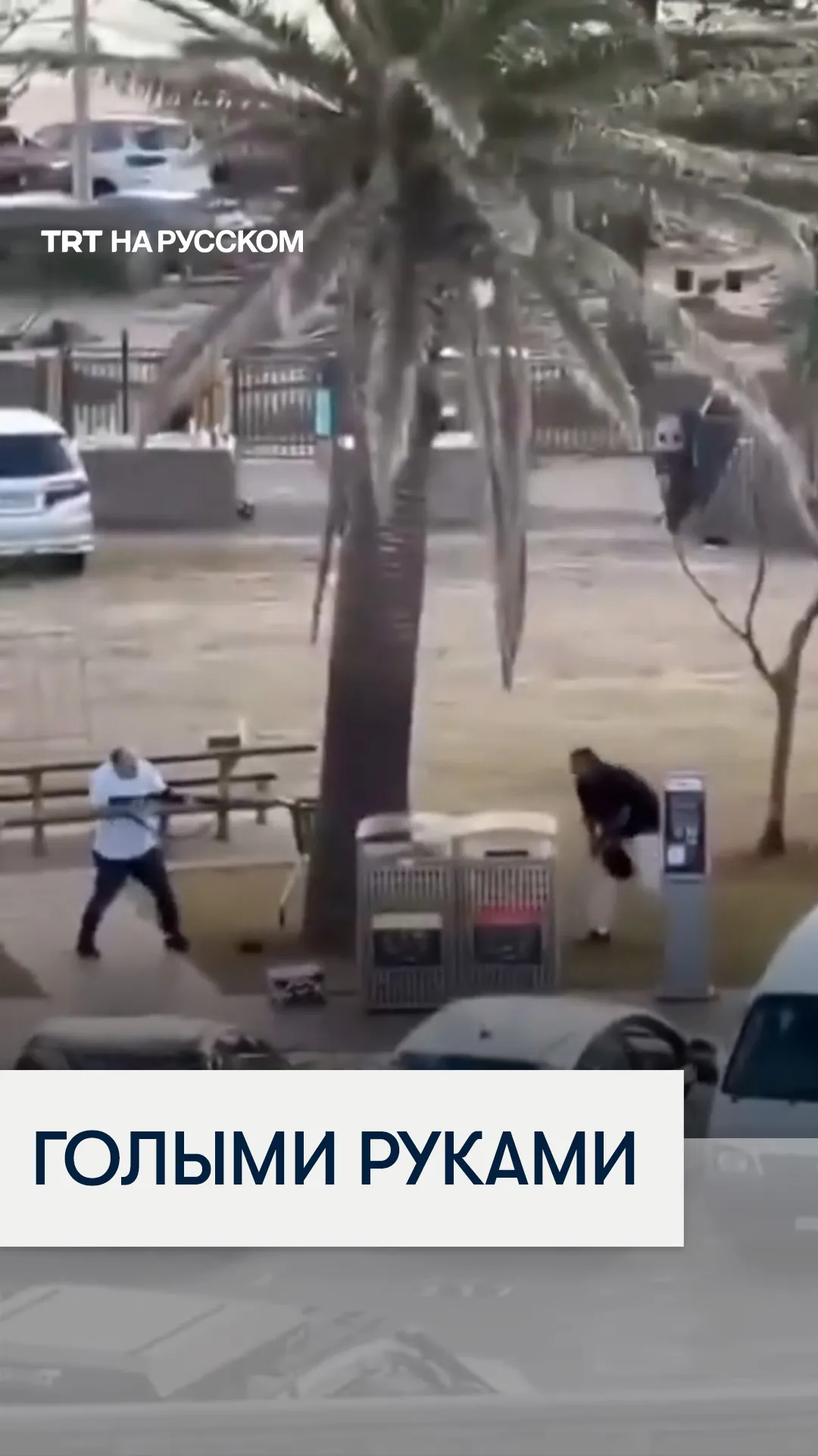 Прохожий отобрал оружие у нападавшего во время массовой стрельбы на пляже в Австралии