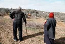 Illegal Israeli settlers destroy dozens of olive trees near occupied East Jerusalem