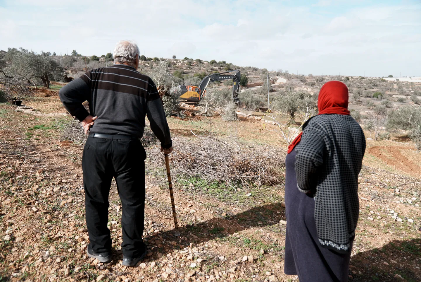 Illegal Israeli settlers destroy dozens of olive trees near occupied East Jerusalem