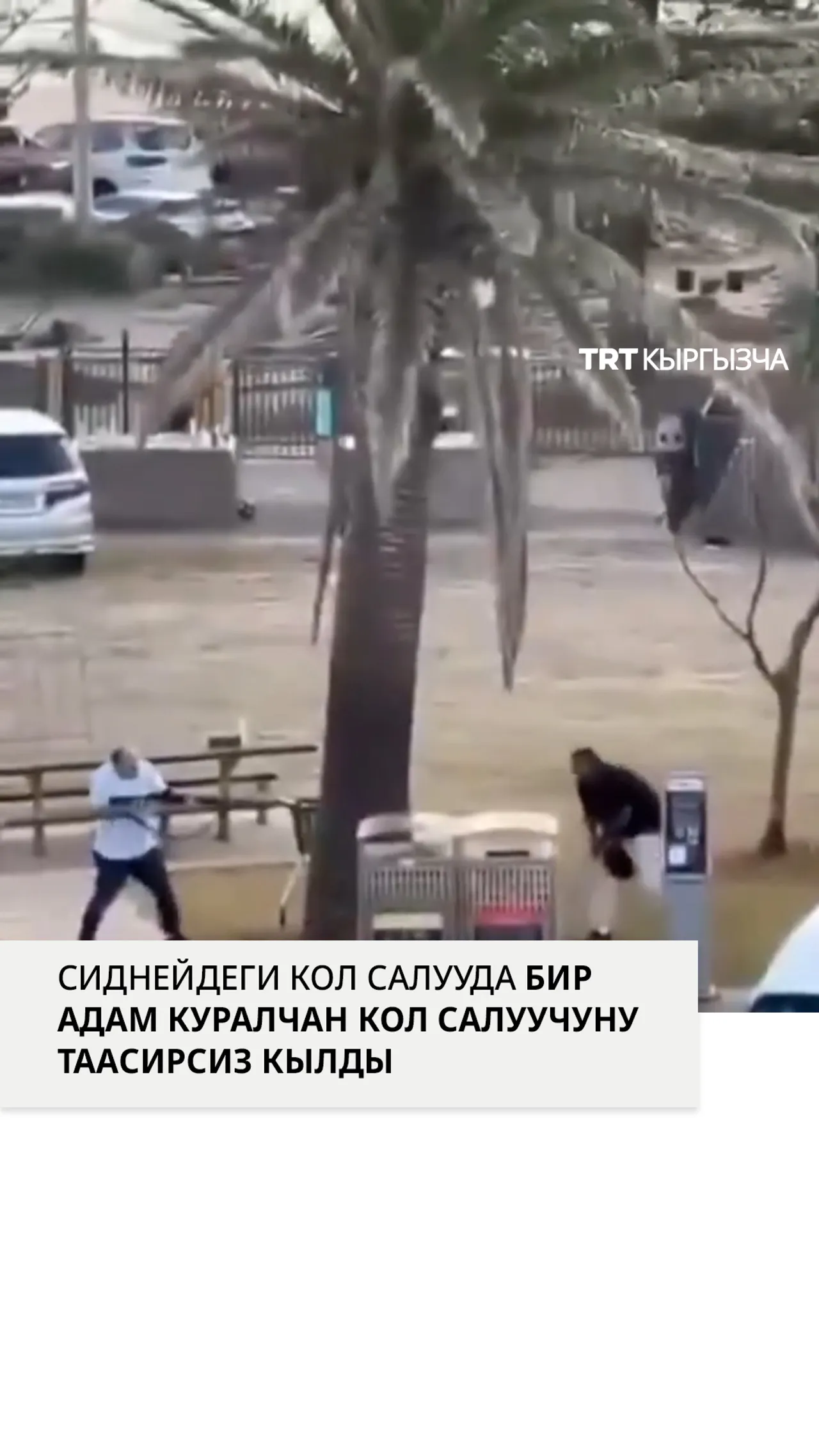 Бонди-Бичтеги кандуу кол салуу учурунда бир адам куралчан кол салуучуну токтотуу үчүн кийлигишти