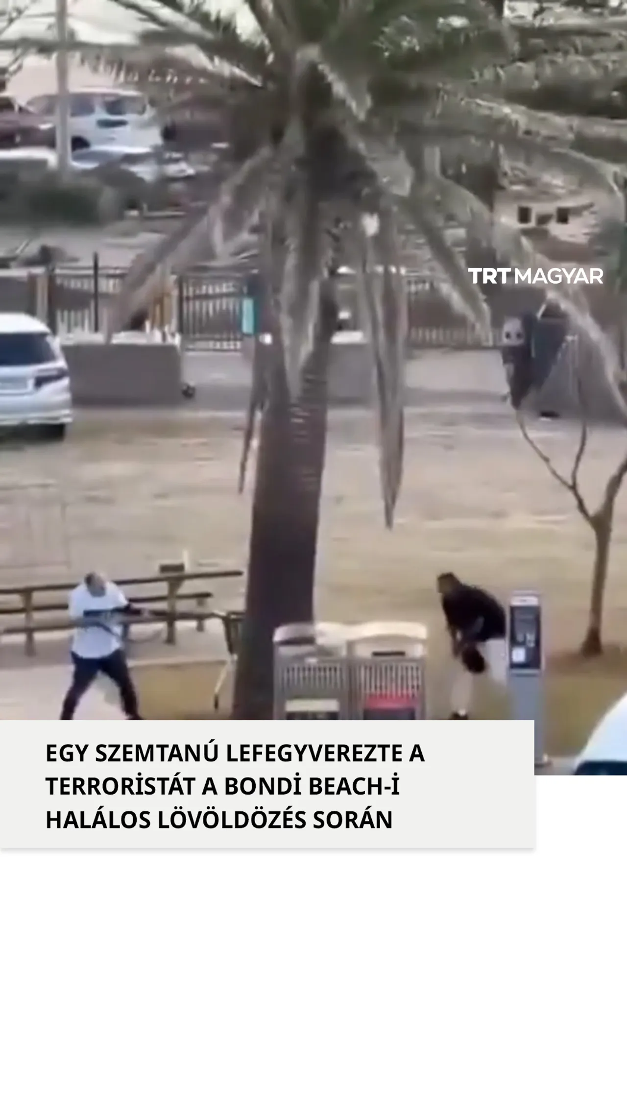 Egy szemtanú lefegyverezte a terroristát a Bondi Beachen