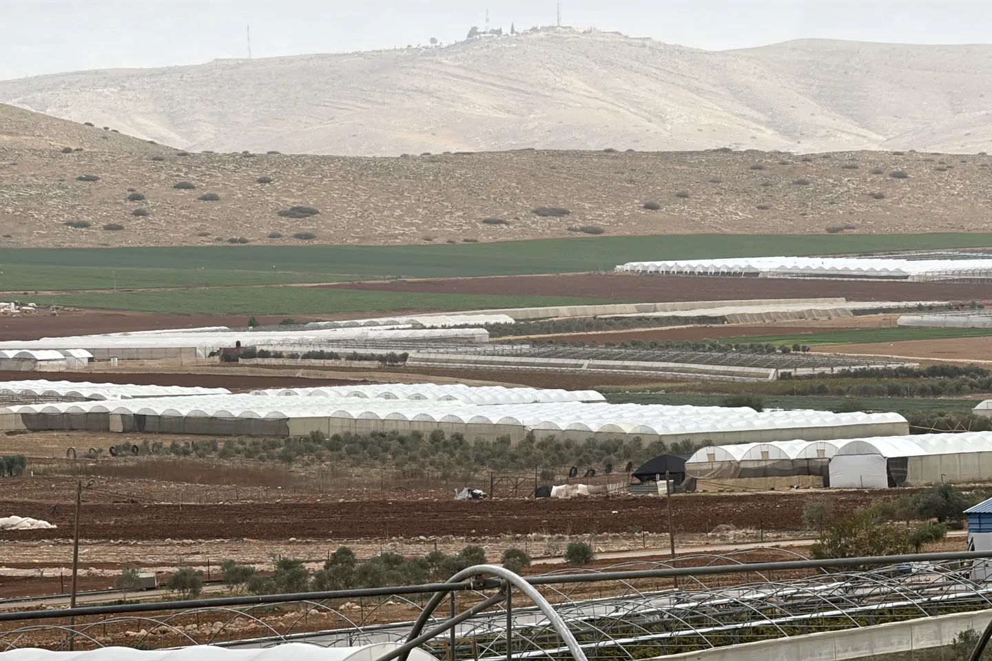 أسوار جديدة وأراضٍ أقل.. ماذا تبقّى للفلسطينيين في منطقة الأغوار بالضفة المحتلة؟