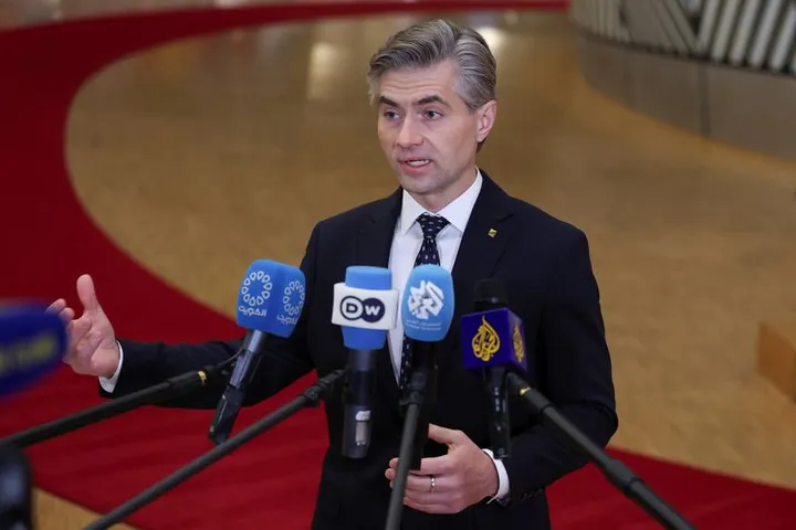 Литванскиот МНР ги обвини сојузниците на НАТО за трошоците за одбрана