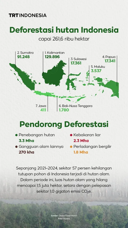 Deforestasi hutan Indonesia capai 261,6 ribu hektar